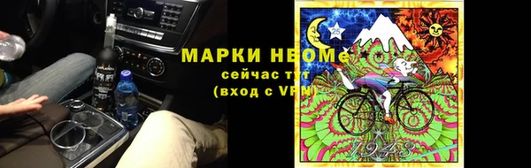 винт Алзамай