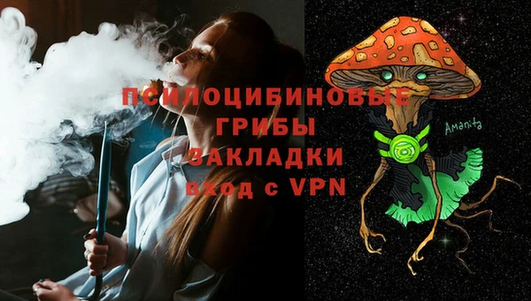 винт Алзамай