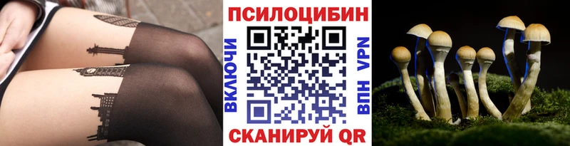 Галлюциногенные грибы Psilocybine cubensis  Мегион 