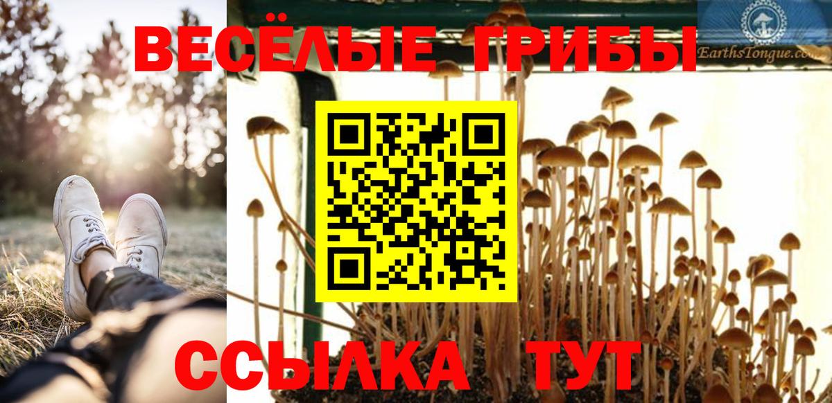 Псилоцибиновые грибы MAGIC MUSHROOMS  Вход с VPN  Галлюциногенные грибы ЛСД  Мегион 